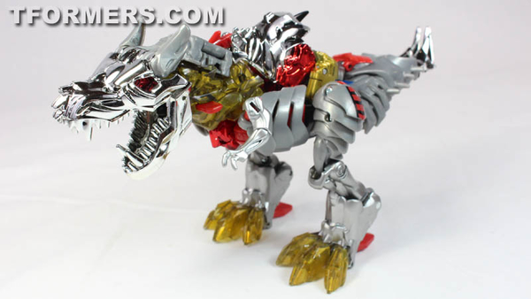 SDCC 2014   G1 Dinobots Exclusives Video Review And Images Transformers Age Of Extinction  (20 of 69)